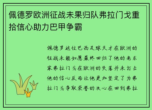 佩德罗欧洲征战未果归队弗拉门戈重拾信心助力巴甲争霸 佩德罗欧洲征战未果归队弗拉门戈重拾信心助力巴甲争霸
